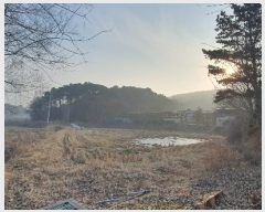  2025Ÿ60028  ֽ ź ݻ긮 368      ()