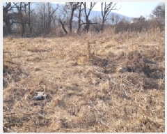  2025Ÿ61182  ֽ ź 帮 295-22      (1)