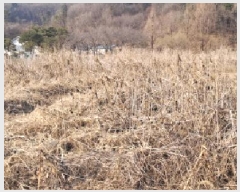  2025Ÿ61182  ֽ ź 帮 295-22      (1)