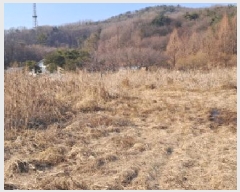  2025Ÿ61182  ֽ ź 帮 295-22      (1)