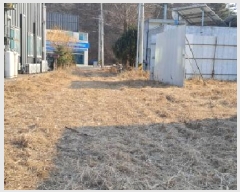  2025Ÿ61182  ֽ ź 帮 295-22      (1)