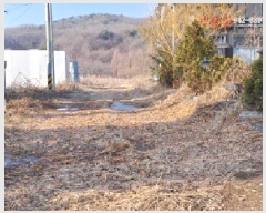  2025Ÿ61182  ֽ ź 帮 295-22      (1)