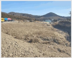  2025Ÿ61670  ֽ  縮 65      ()