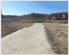  2025Ÿ61670  ֽ  縮 65      ()