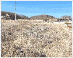  2025Ÿ61670  ֽ  縮 65      ()