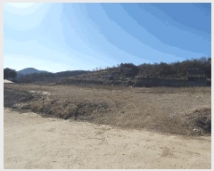  2025Ÿ61670  ֽ  縮 65      ()