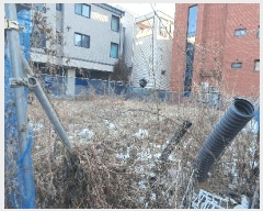  2025Ÿ62024   籸 ⵿ 491-20      ()