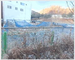  2025Ÿ62024   籸 ⵿ 491-20      ()