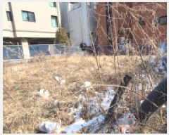  2025Ÿ62024   籸 ⵿ 491-20      ()