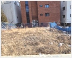  2025Ÿ62024   籸 ⵿ 491-20      ()