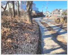  2025Ÿ62243  ֽ ź  248-1      (1)