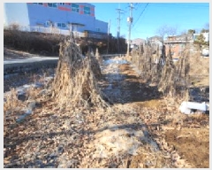  2025Ÿ62243  ֽ ź  248-1      (1)