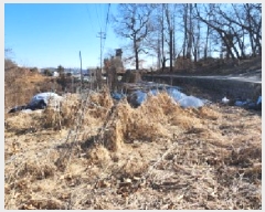  2025Ÿ62243  ֽ ź  248-1      (1)