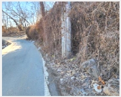  2025Ÿ62243  ֽ ź  248-1      (1)