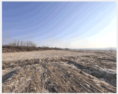  2025Ÿ62255  ֽ   408-1      ()