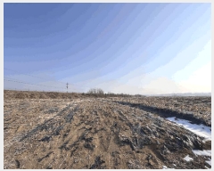  2025Ÿ62255  ֽ   408-1      ()