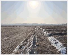  2025Ÿ62255  ֽ   408-1      ()