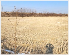  2025Ÿ62255  ֽ   408-1      ()