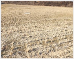  2025Ÿ62255  ֽ   408-1      ()