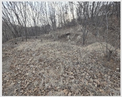  2025Ÿ��62383 ��� ���ֽ� �˻굿 472-13       ����(�Ӿ�)���