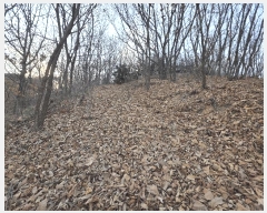  2025Ÿ��62383 ��� ���ֽ� �˻굿 472-13       ����(�Ӿ�)���