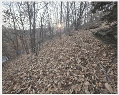  2025Ÿ��62383 ��� ���ֽ� �˻굿 472-13       ����(�Ӿ�)���