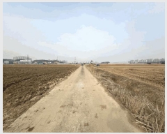  2025Ÿ��62634 ��� ���ֽ� ������ �ɾȸ� 1288      ����(��)���