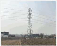  2025Ÿ��62634 ��� ���ֽ� ������ �ɾȸ� 1288      ����(��)���