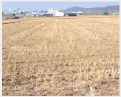  2025Ÿ��62634 ��� ���ֽ� ������ �ɾȸ� 1288      ����(��)���