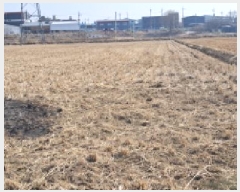  2025Ÿ��62634 ��� ���ֽ� ������ �ɾȸ� 1288      ����(��)���