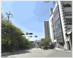  2025Ÿ��62800 ��� ���ֽ� �Ƶ��� 283 �ʽ���������Ʈ 111�� 21��2101ȣ    ����Ʈ���