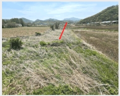  2025Ÿ��62943 ��� ���ֽ� ������ �������� 359-8      ����(��)���