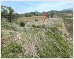  2025Ÿ��62943 ��� ���ֽ� ������ �������� 359-8      ����(��)���