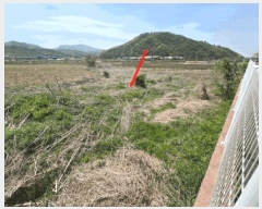  2025Ÿ��62943 ��� ���ֽ� ������ �������� 359-8      ����(��)���