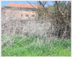  2025Ÿ��62943 ��� ���ֽ� ������ �������� 359-8      ����(��)���