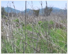  2025Ÿ��62943 ��� ���ֽ� ������ �������� 359-8      ����(��)���