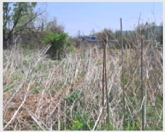  2025Ÿ��62943 ��� ���ֽ� ������ �������� 359-8      ����(��)���