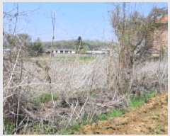  2025Ÿ��62943 ��� ���ֽ� ������ �������� 359-8      ����(��)���