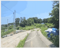  2025Ÿ��63495  �����