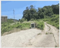  2025Ÿ��63495  �����