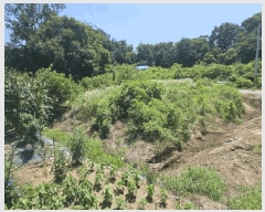  2025Ÿ��63495  �����