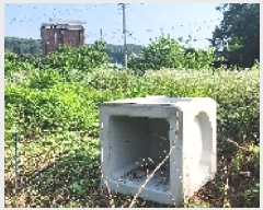  2025Ÿ��63495  �����