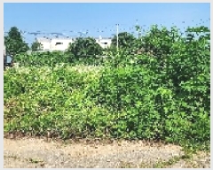  2025Ÿ��63495  �����