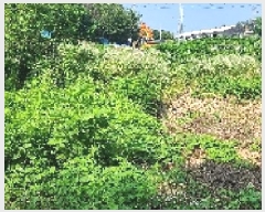  2025Ÿ��63495  �����