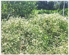  2025Ÿ��63495  �����