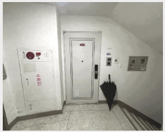  2025Ÿ��65006  ����Ʈ���