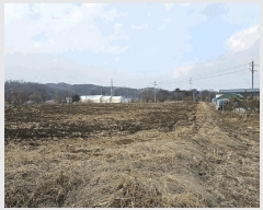  2025Ÿ��521 ��� ���ֽ� ������ ����õ�� 280      ����(��1)���