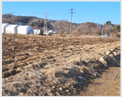  2025Ÿ��521 ��� ���ֽ� ������ ����õ�� 280      ����(��1)���