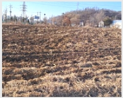  2025Ÿ��521 ��� ���ֽ� ������ ����õ�� 280      ����(��1)���