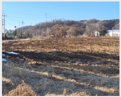  2025Ÿ��521 ��� ���ֽ� ������ ����õ�� 280      ����(��1)���